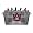 Auburn Tigers