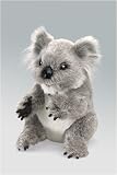 41yHz2jOIoL. SL160  Koala Webwilds