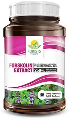 Pure Forskolin Extract by Purists Choice | 100% Pure Coleus Forskohlii Root Extract with 20% Forskolin - 1 bottle
