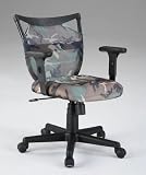 Cameron Desk Chair By Powell Furniture