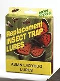 Springstar Asian Ladybug Lures (S1527)