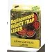 Springstar Asian Ladybug Lures (S1527)