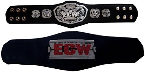 WWE ECW 3d Heavyweight Championship Mini Size Belt
