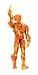  : MGA Marvel Spiderman Walkie-Talkie Human Torch