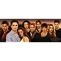 Ravensburger 15098 - Twilight 1000 Teile Panorama Puzzle