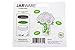 Jarware Flower Frog, Green