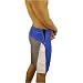 Mens Oakley Blue, White & Gray Surf Boardshorts - Large