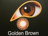 Golden Brown - 1 month wear contact lenses with free solution and free lense case
