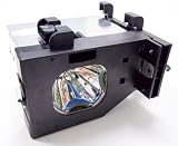 Panasonic TY-LA1000 DLP TV Replacement Lamp