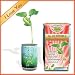 Nature's Greeting Magic Plant- I Love You Valentine's Edition