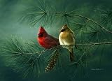Tuftop Tempered Glass Kitchen Board Cardinals - Small