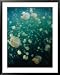 Jellyfish (Scyphozoa), Palau Framed Art Poster Print by Michael Aw, 31x39