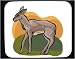 Decorated Mouse Pad with fauna, nature, madoqua, environment, savannah, antelope, ani...