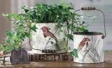 Birds and Bugs Round Tin Planter Buckets (set of 2)