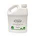 Martha Stewart Pressure Washer Concentrate Formula, Clear