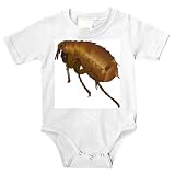 Onesie with insect, biter, pest, biting, jumping, arthropod, blood-sucker, parasite, flea, animal, manniskoloppa