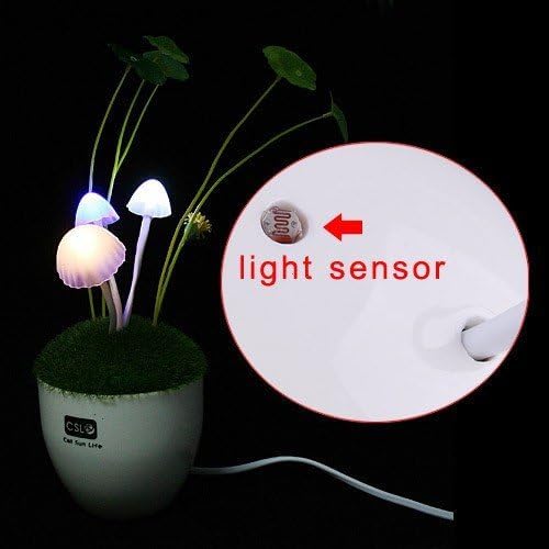 Mini Shop LED Light Sensor Mushroom Lamp/ MINI potted/bonsai/ Green Plants on the wall/night light, Automatic change color, Romantic LED lighting, Perfect Gift (Ceramics)