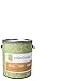 Inspired Flat Interior Paint, Bisque .01, Gallon