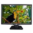22-Inch Acer AL2216W DVI/VGA Widescreen TFT LCD Monitor (Black)