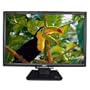 22-Inch Acer AL2216W DVI/VGA Widescreen TFT LCD Monitor (Black)