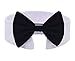 Amajiji Formal Dog Cat Pet Bow Tie Neck Tie for Small Dogs & Cat D016 (White)