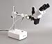 20x + High WorkDist Binocular Microscope w Light