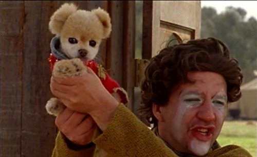 Mr.ウィンクル 世界一かわいい犬の大冒険 [DVD]