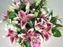Festival of Lilies Fresh Flower Bouquet