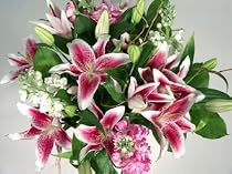 Festival of Lilies Fresh Flower Bouquet