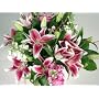 Festival of Lilies Fresh Flower Bouquet