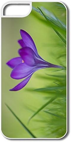 Flycro Custom Birthday Gift Crocus Case For Iphone 5/5s