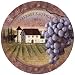Tuscany Cabernet Sandstone Thirstystone Coasters