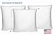 Mybecca 20 X 20 Pillow Insert Sham Square Form Polyester Premium Hypoallergenic Stuffer, Standard/White - Made in USA