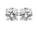 0.50 (1/2) cttw Diamond Stud Earrings - 14kt White Gold LIFETIME WARRANTY