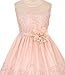 Little Girls Sleeveless Embroidered Illusion Neckline Easter Flower Girl Dress