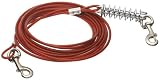 Dog Tie Out Cable, 20'