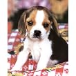 Cutest Baby Beagle Puppy dog Art Print Poster - 13x19