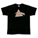 Pink Floyd - Dark Side Of The Moon Distressed Soft T-Shirt