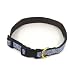 Pet Supplies : Curly Q Dog Collar - Small (9-15L x 0.6W)
