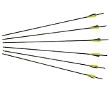 6 - Pk of 30-Inch Long Carbon Arrows with 9/32 Bullet Points and 3" Vanes by Robins Apple