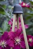 CANE TOPPERS 8 CANE X1, TURQUOISE