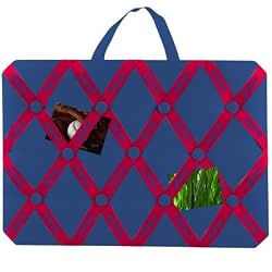 University of Arizona - Ribbon Memo Board
