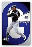 (22x34) Colorado Rockies Carlos Gonzalez Sports Poster Print