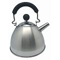 Sefama International - 108405 - Bouilloire Inox Laqu� - 900 ml - Inox