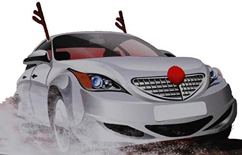 REINDEER ANTLERS &amp; NOSE CAR COSTUME