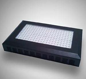 G8LED 600 Watt MEGA LED Grow Light with Optimal 8-Band plus Infrared (IR) and Ultraviolet (UV) - 3 Watt Chips - All in One for Veg and Flower