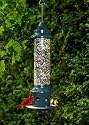 Brome 1024 Squirrel Buster Plus Wild Bird Feeder with Cardinal Perch Ring