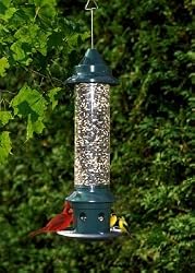 Brome 1024 Squirrel Buster Plus Wild Bird Feeder with Cardinal Perch Ring