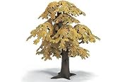 Oak, Small