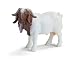 Schleich 13258 - Burenziegenbock